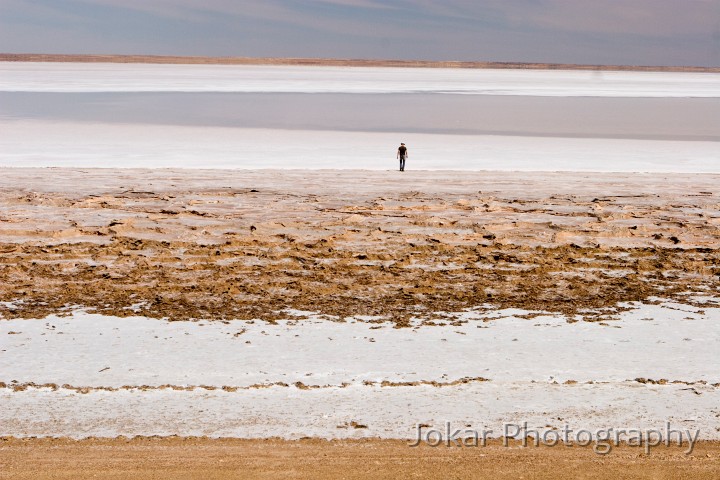 Lake Eyre (Day 2)_20070407_054.jpg - Lake Eyre South
